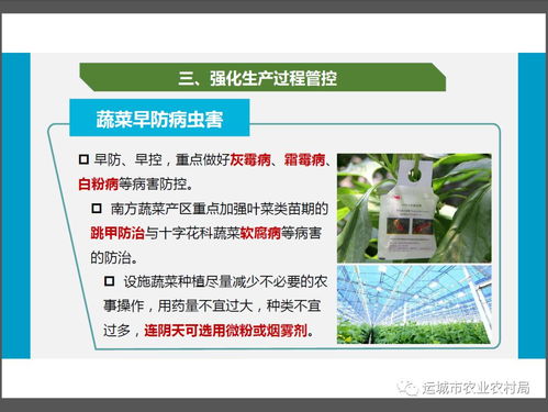 新型冠狀病毒感染肺炎疫情防控期間農(nóng)產(chǎn)品生產(chǎn)經(jīng)營者質量安全操作指南